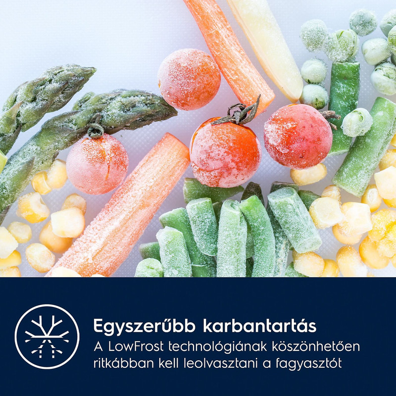 Electrolux ENA6LE18S Beépíthető kombinált hűtőszekrény, AI CoolAssist funkció, 177 cm Electrolux ENA6LE18S Beépíthető kombinált hűtőszekrény, AI CoolAssist funkció, 177 cm
