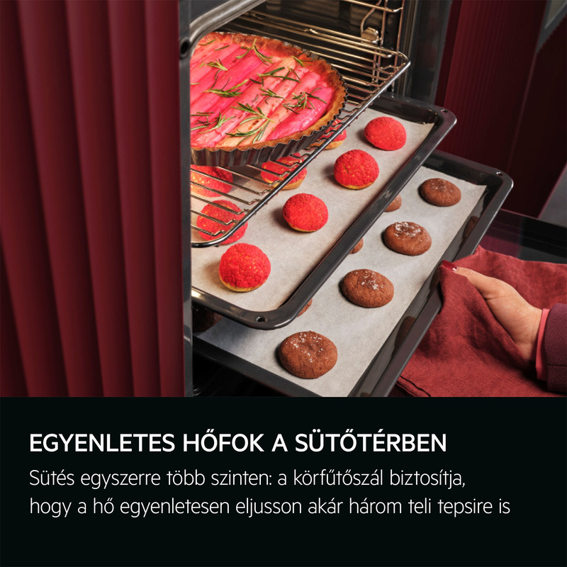 AEG TB8SB73ZAB SteamPro/MealAssist beépíthető gőzsütő, maghőmérő, Steamify, Wifi, gőztisztítás AEG TB8SB73ZAB SteamPro/MealAssist beépíthető gőzsütő, maghőmérő, Steamify, Wifi, gőztisztítás